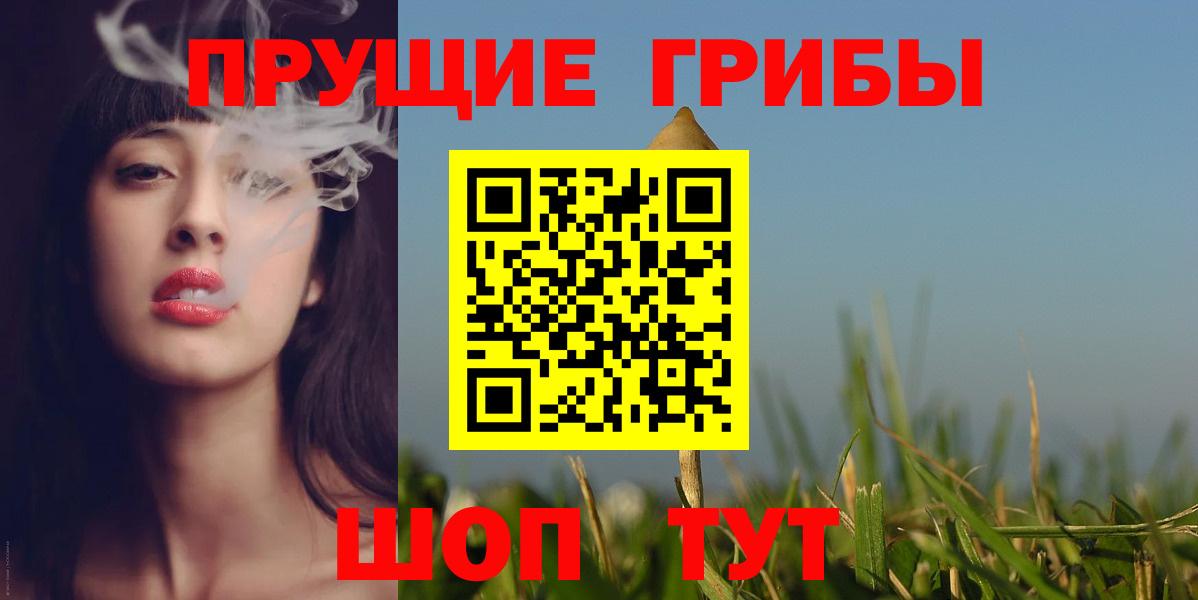 Псилоцибиновые грибы GOLDEN TEACHER Зима